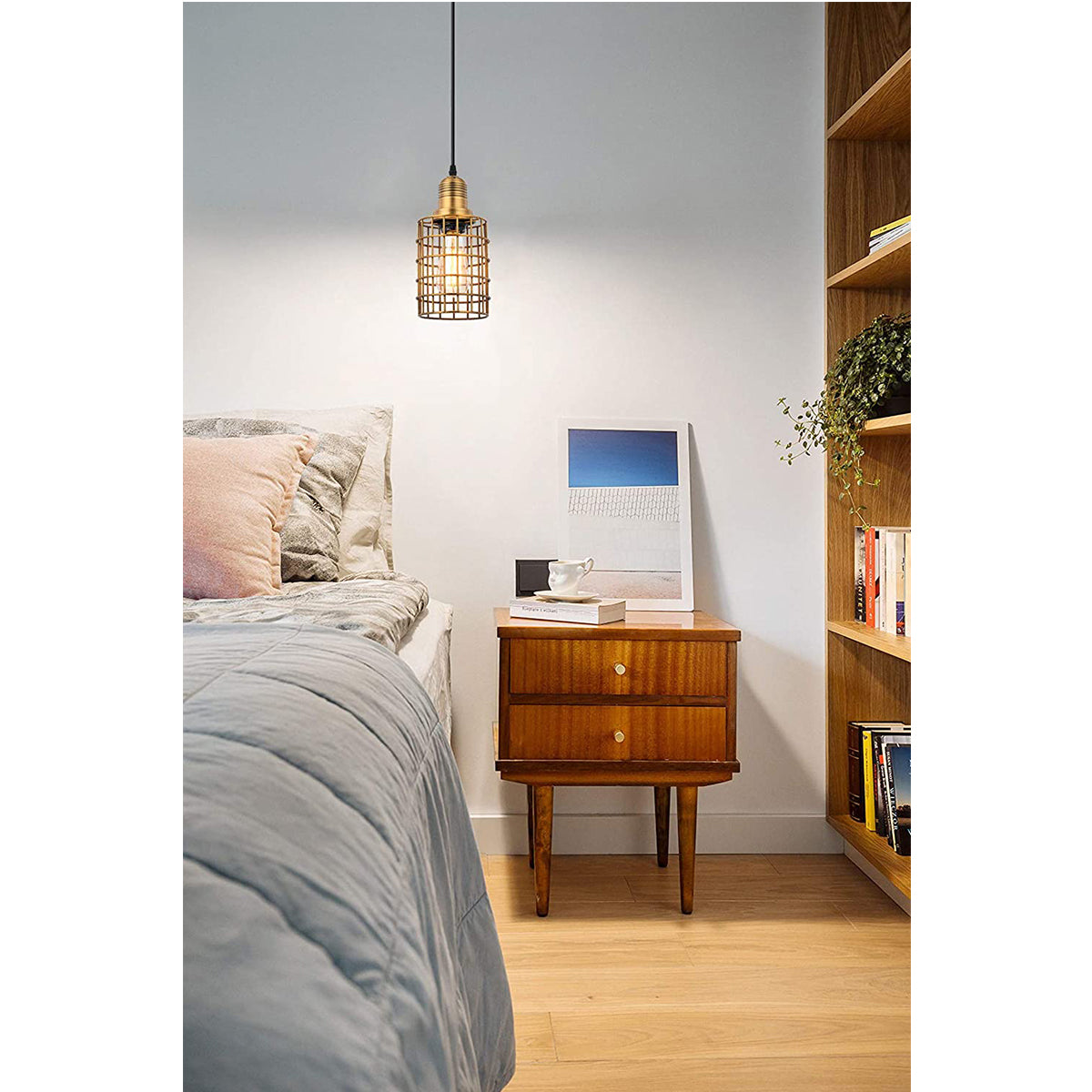 2 Pack Gold Cage Pendant Light with Plug in